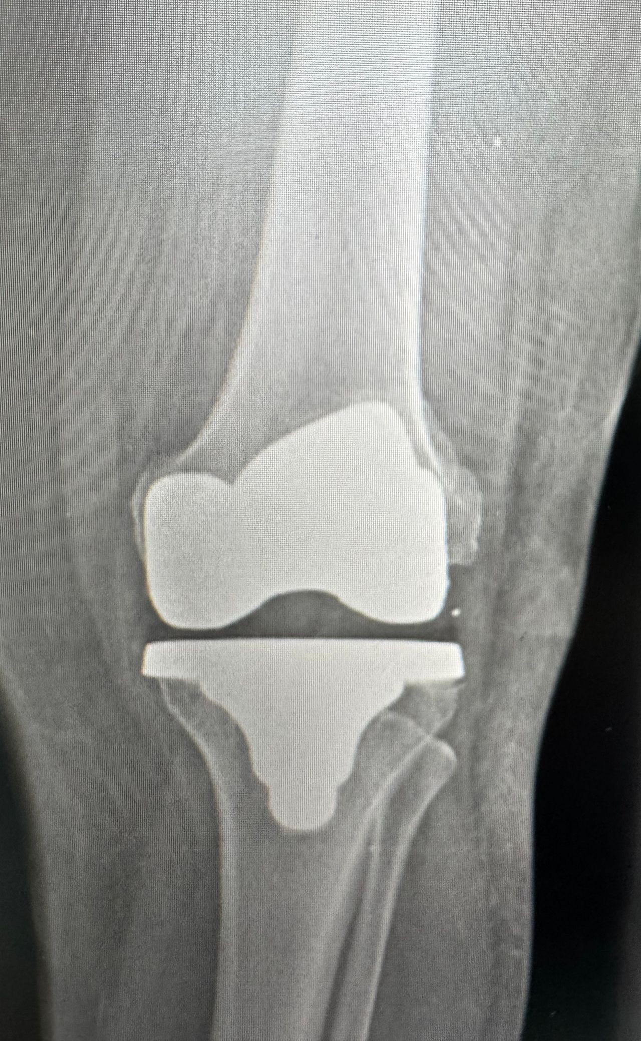 Héctor Benito Lazaro-6