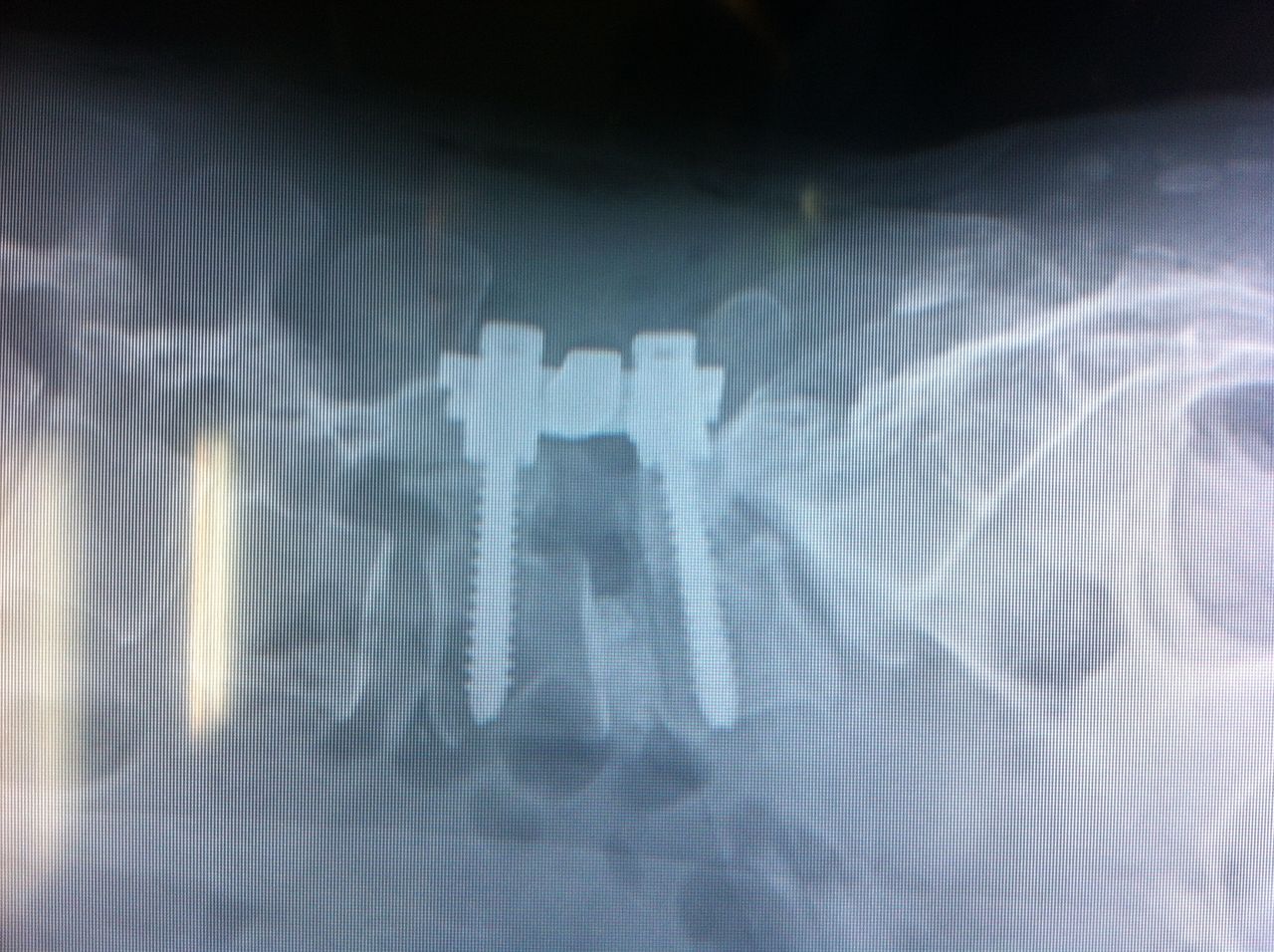 Erick Jimmy Vega Delgadillo-1