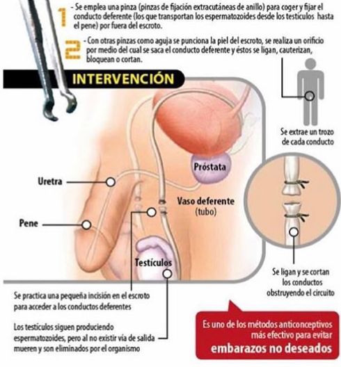Alejandro Ibarra Ordóñez-23