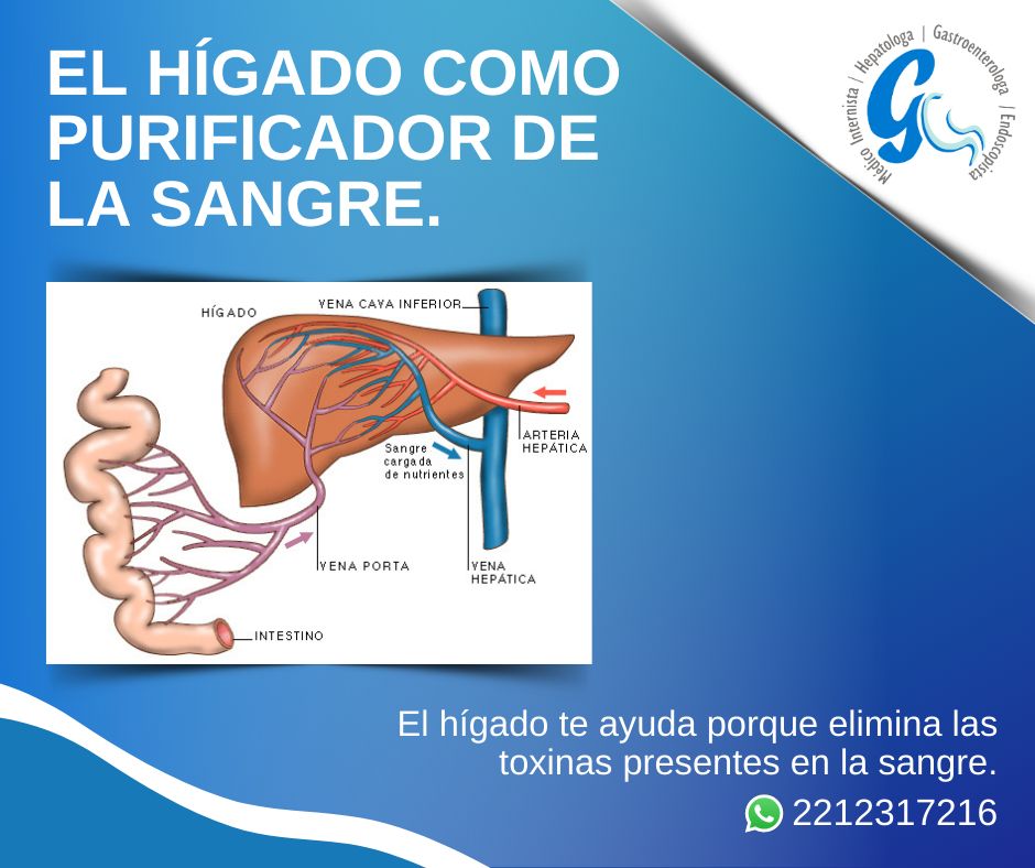 Maria Eddy Lucia Niño Almanza-1