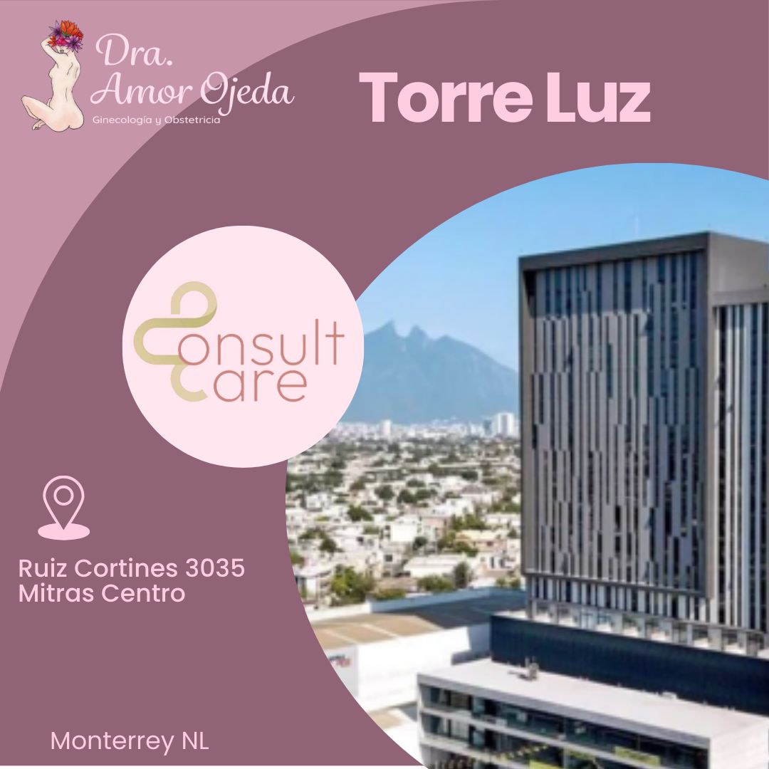 Alma Amor Ojeda Villalobos-1