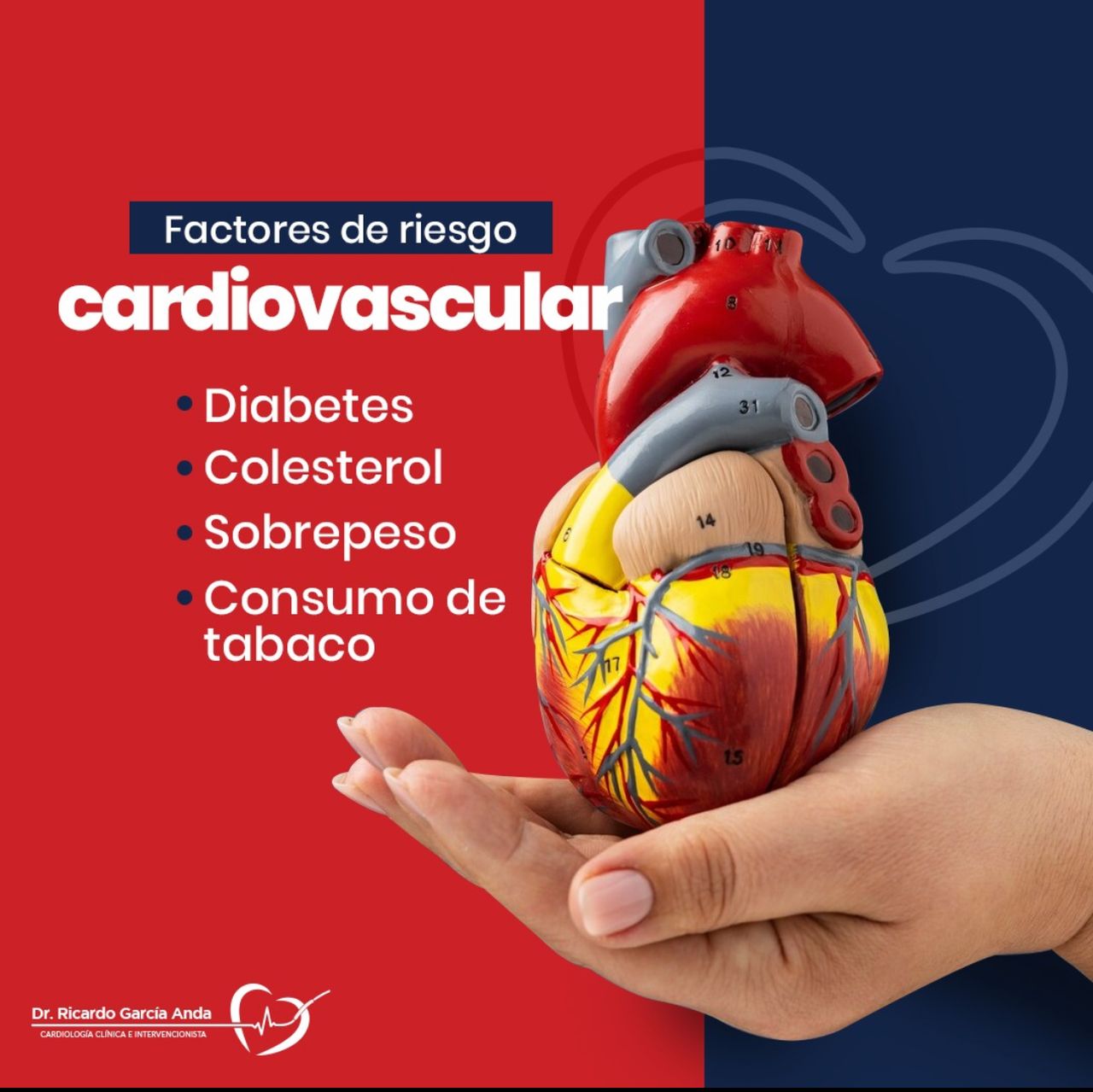 Ricardo Garcia Anda-14