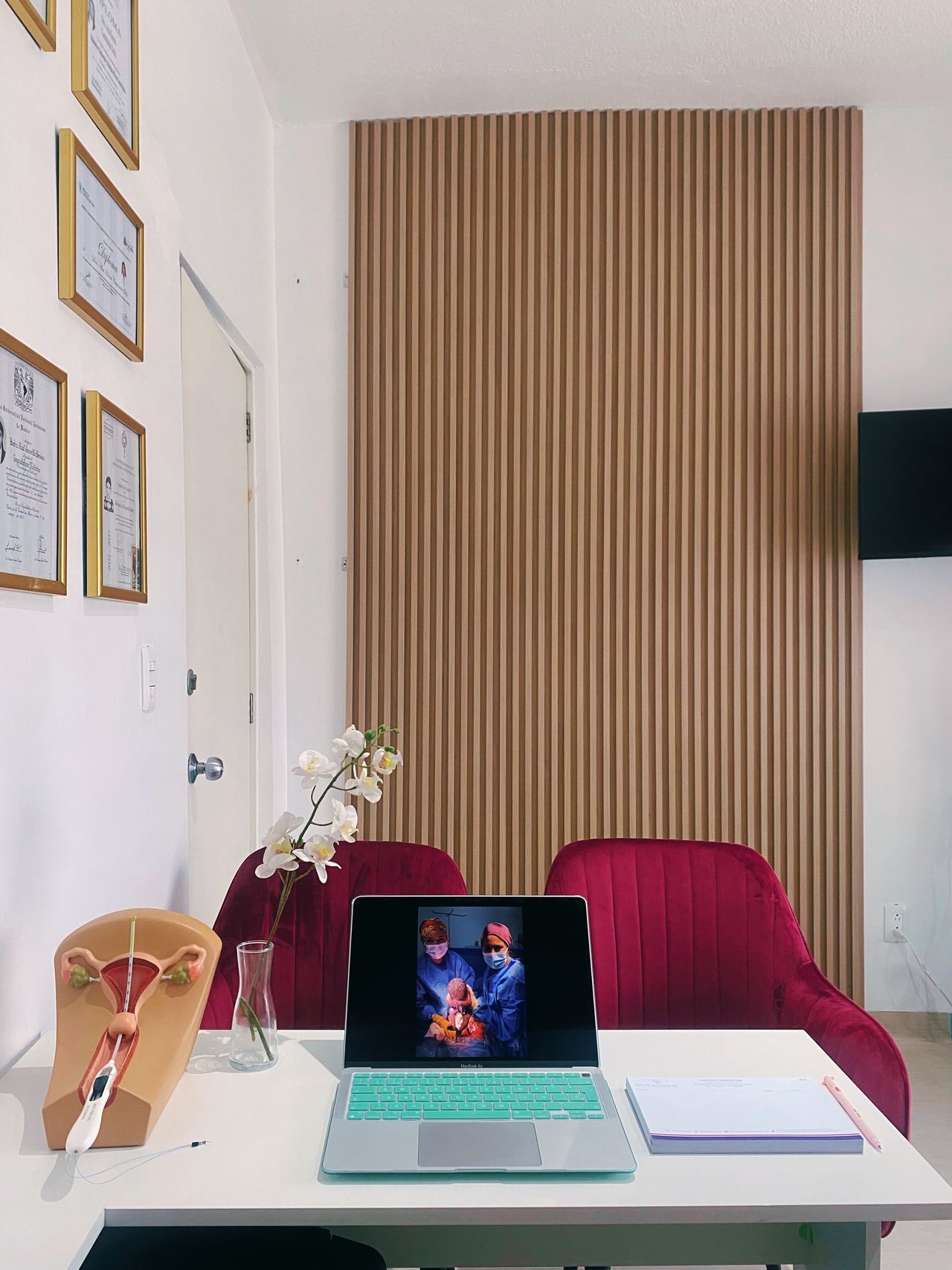 Ana Karen Castañeda Solis-12