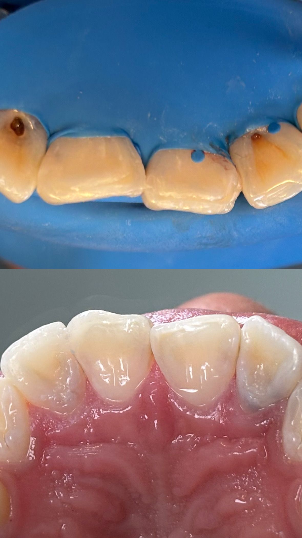 María Paula  Flores Novoa-23