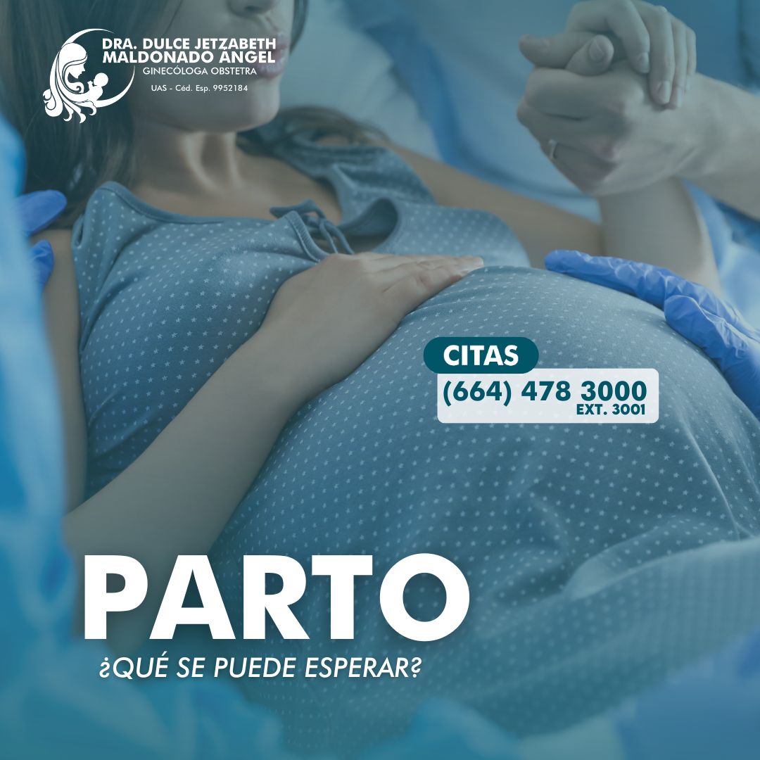 Dulce Jetzabeth Maldonado Angel-17