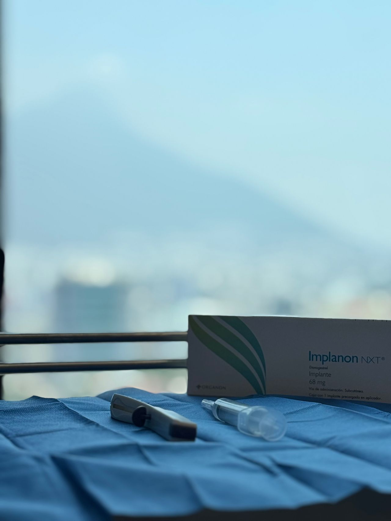 Virginia Guadalupe Vega Vázquez-0