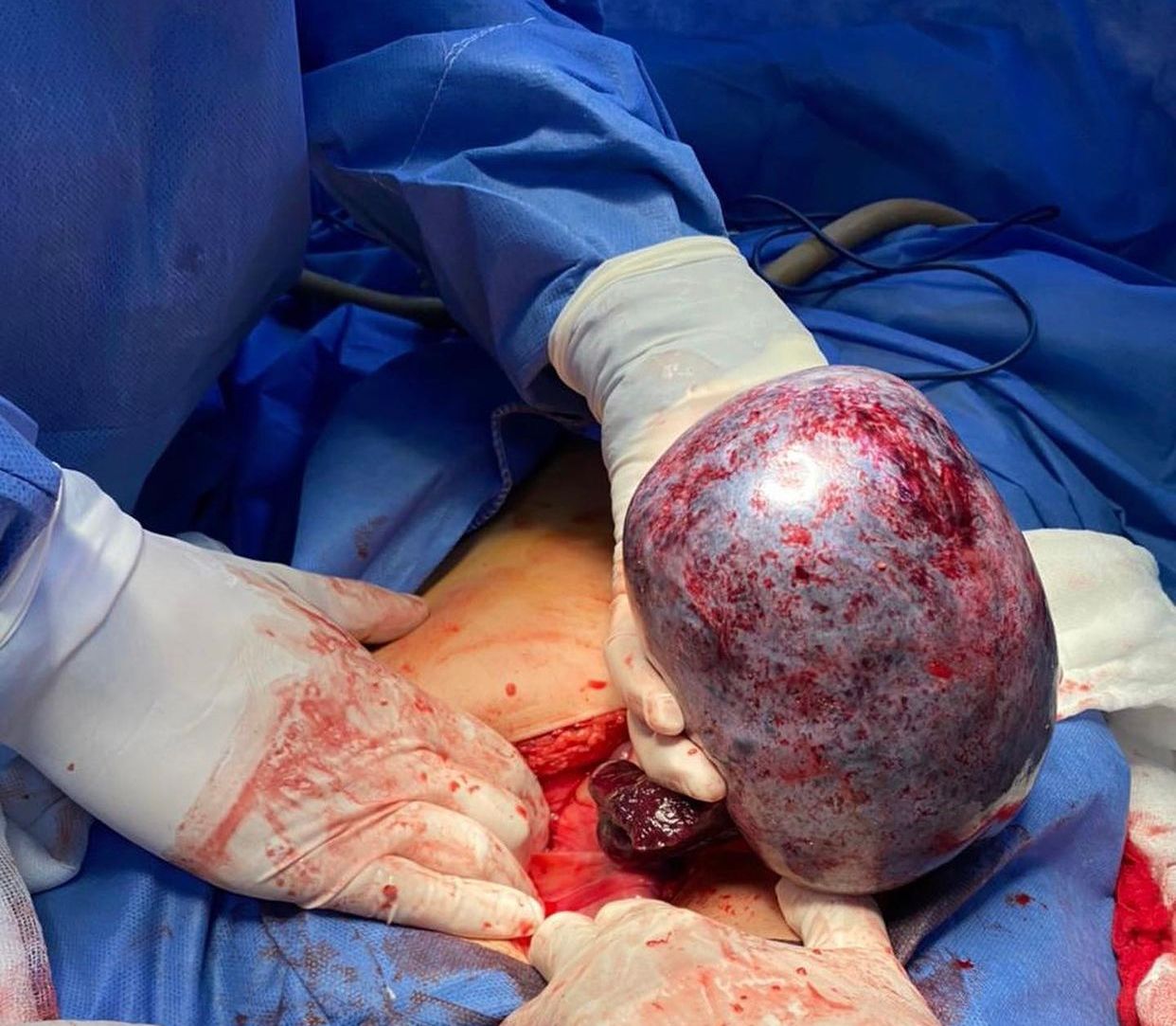 Andrea Calvo Maldonado-3