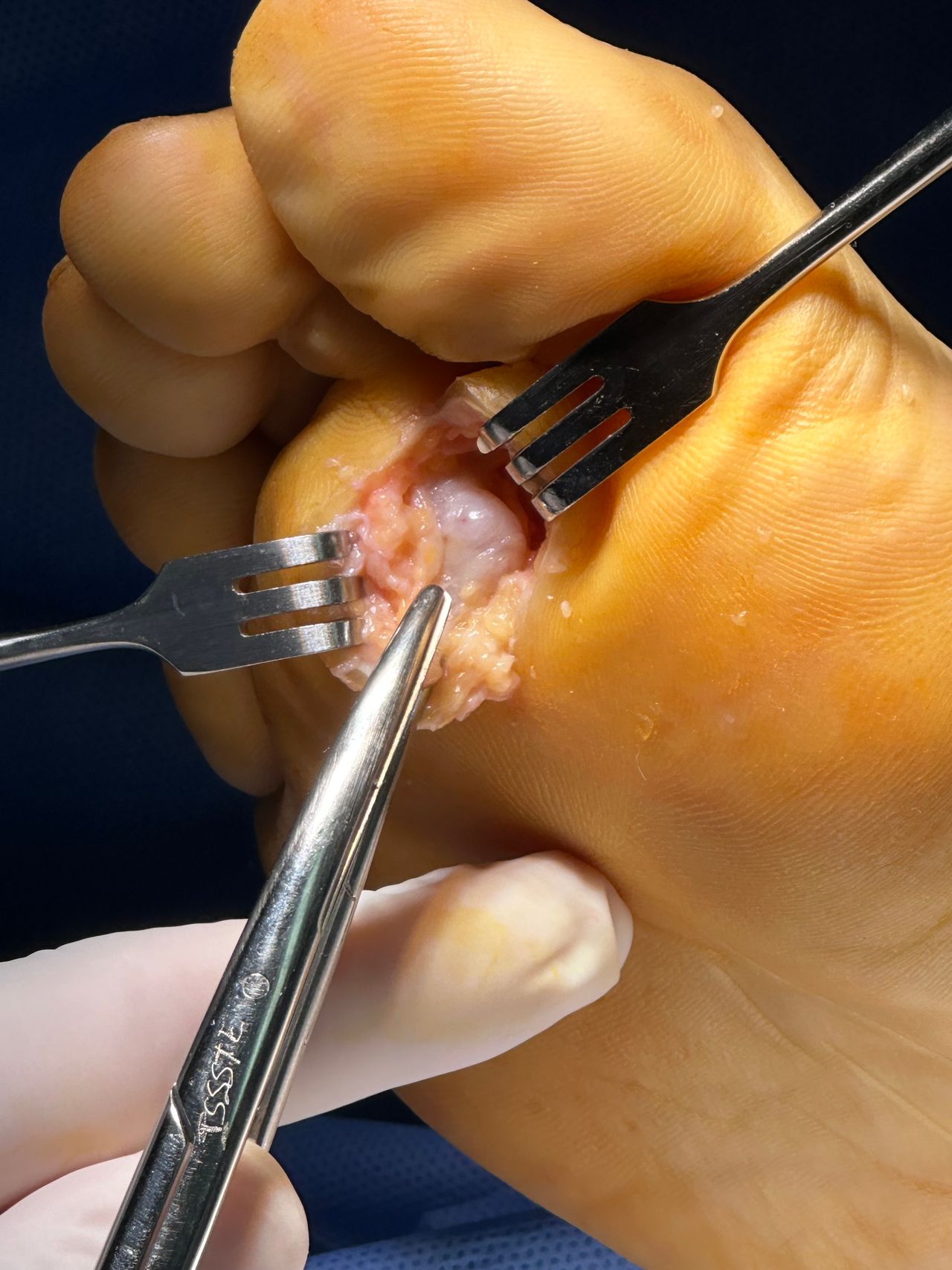 Luis Enrique Armenta  Ramirez-4