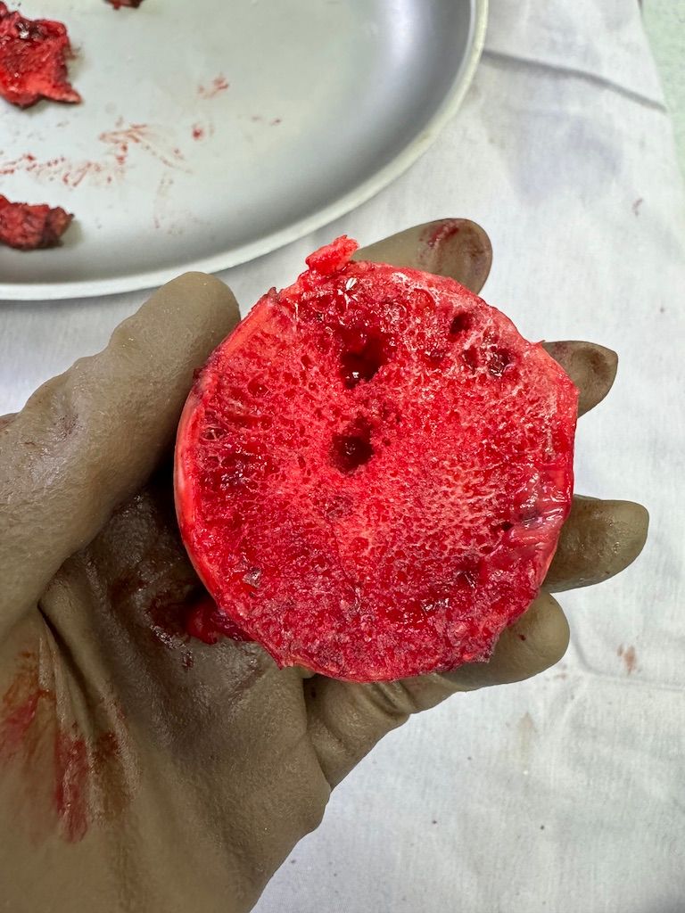 Gisela Cleto Zepeda-147