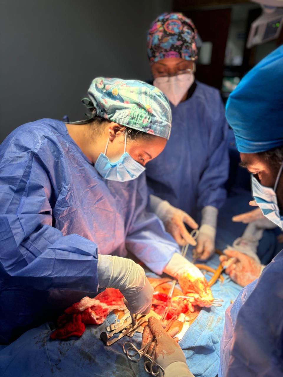 Sonia Carrasco Cara Chards-3