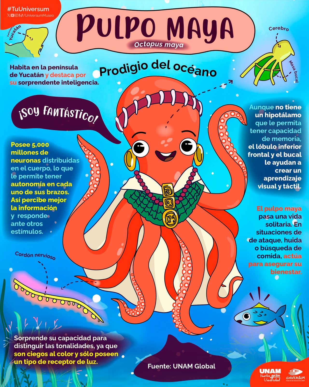 Raymundo Alejandro Cuevas Escalante-359