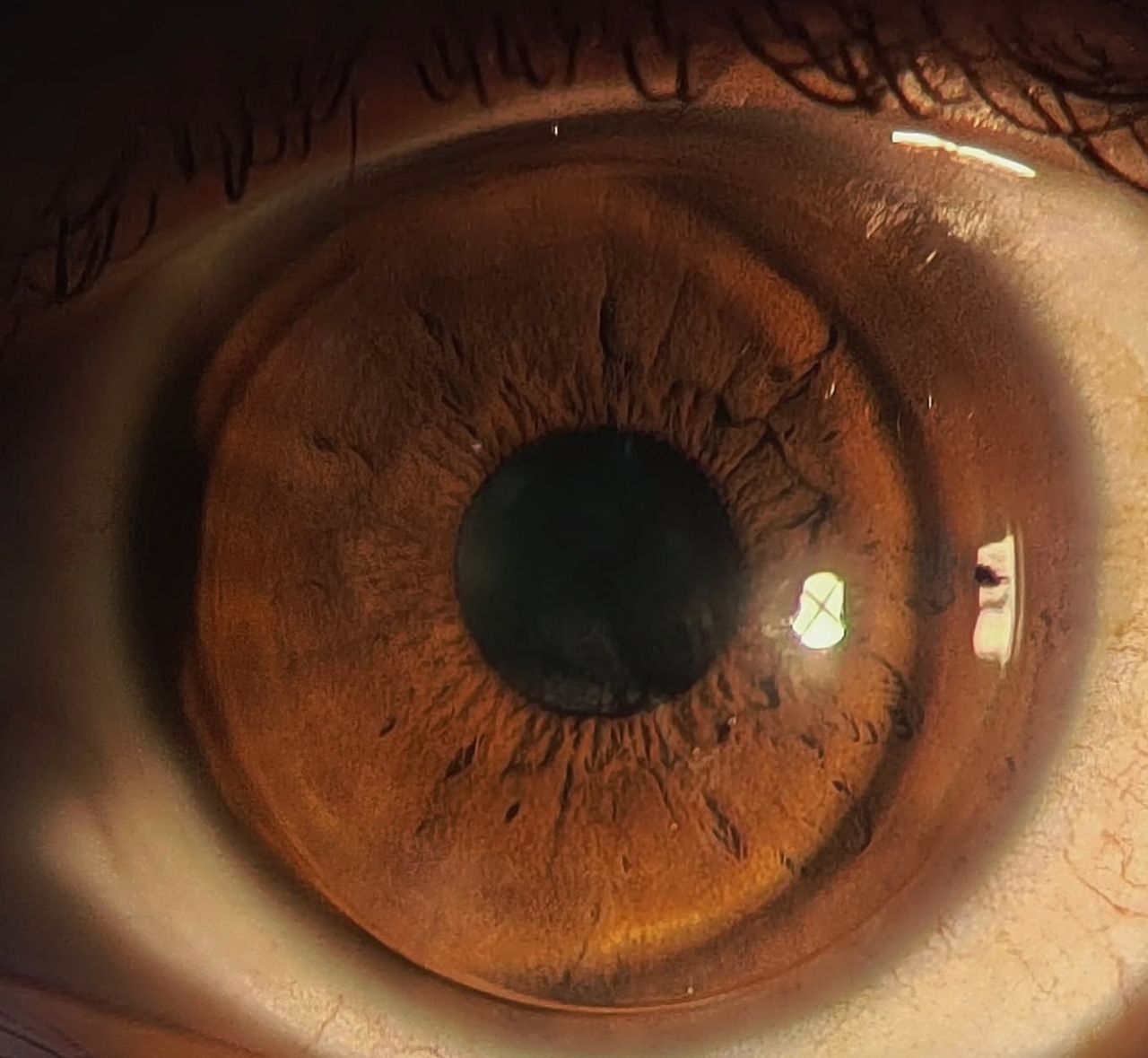 Arturo Mánuel García-1