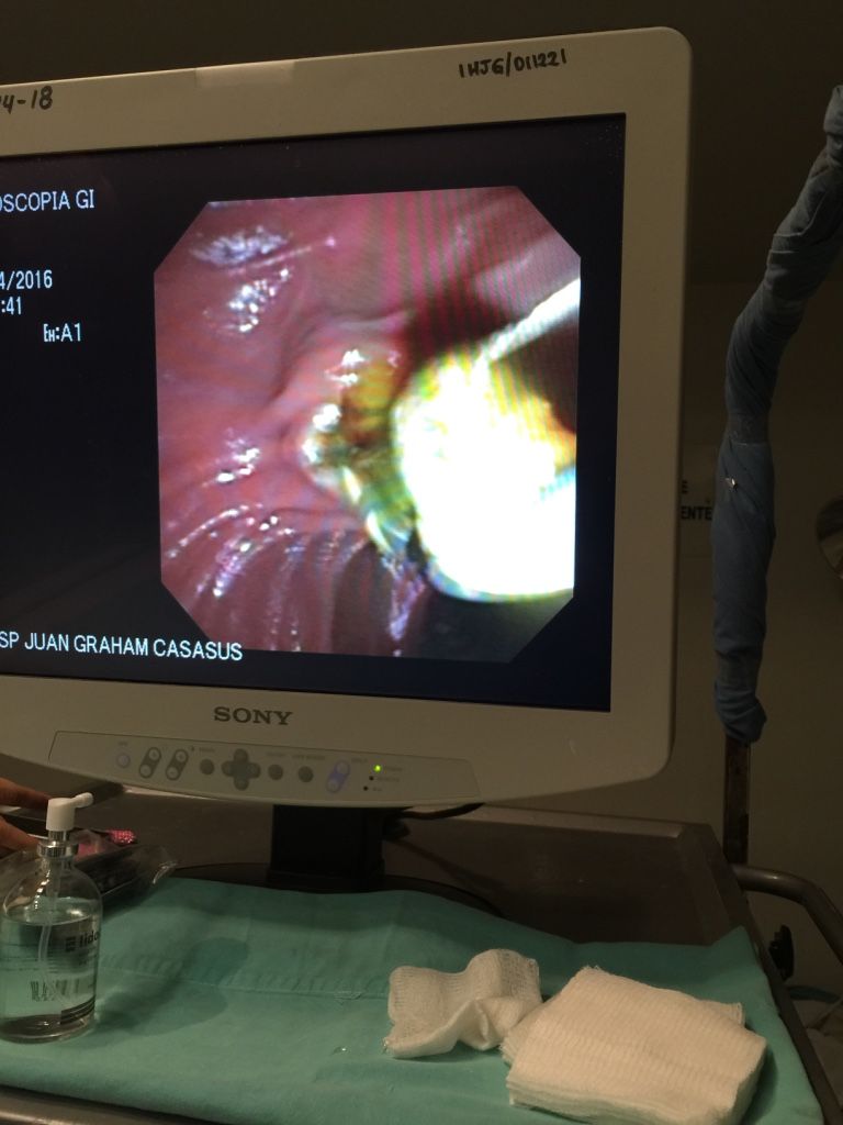 Mario Alberto Mares Zambrano-0