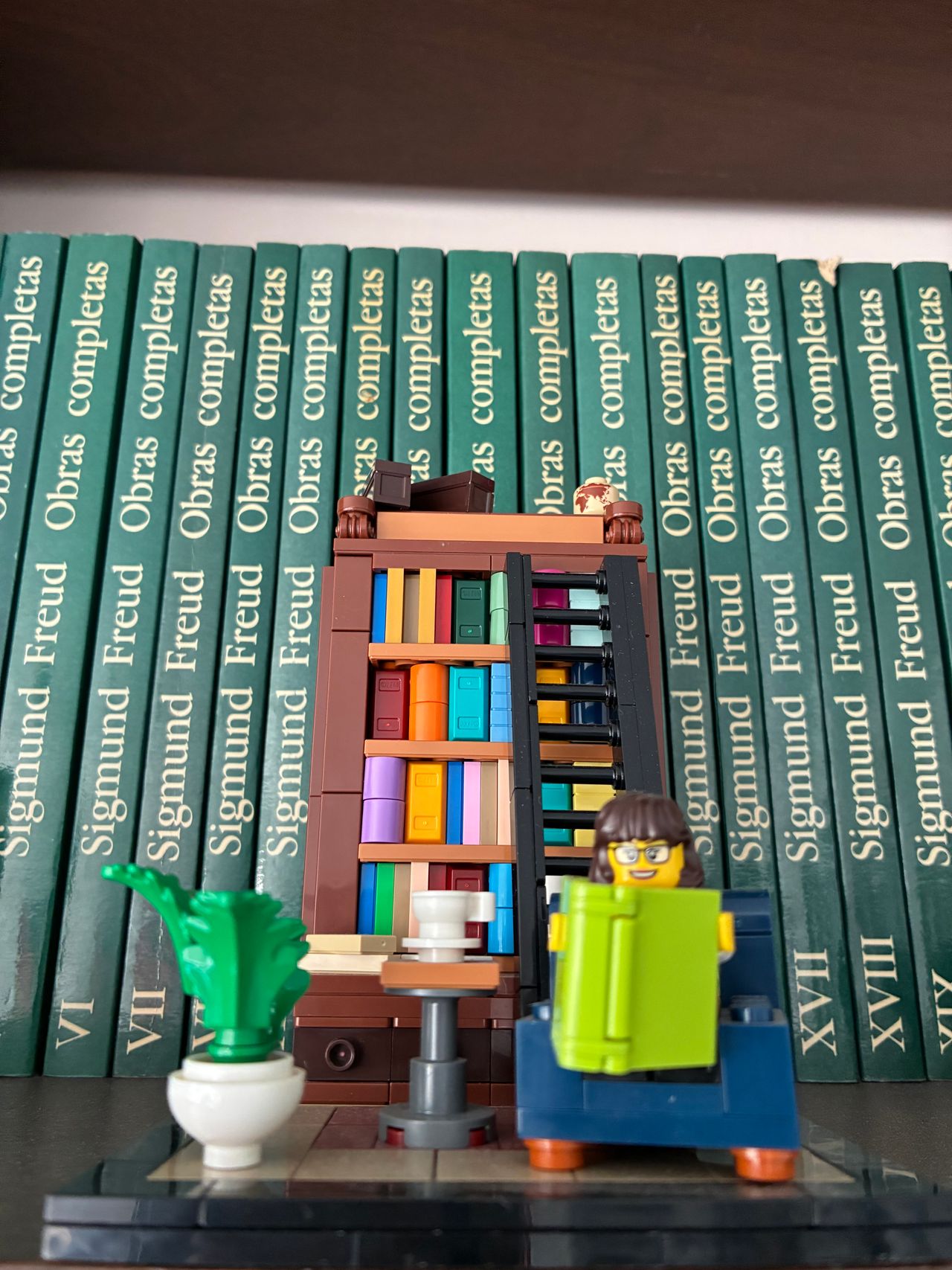 Lucía  Cortés Martínez -2