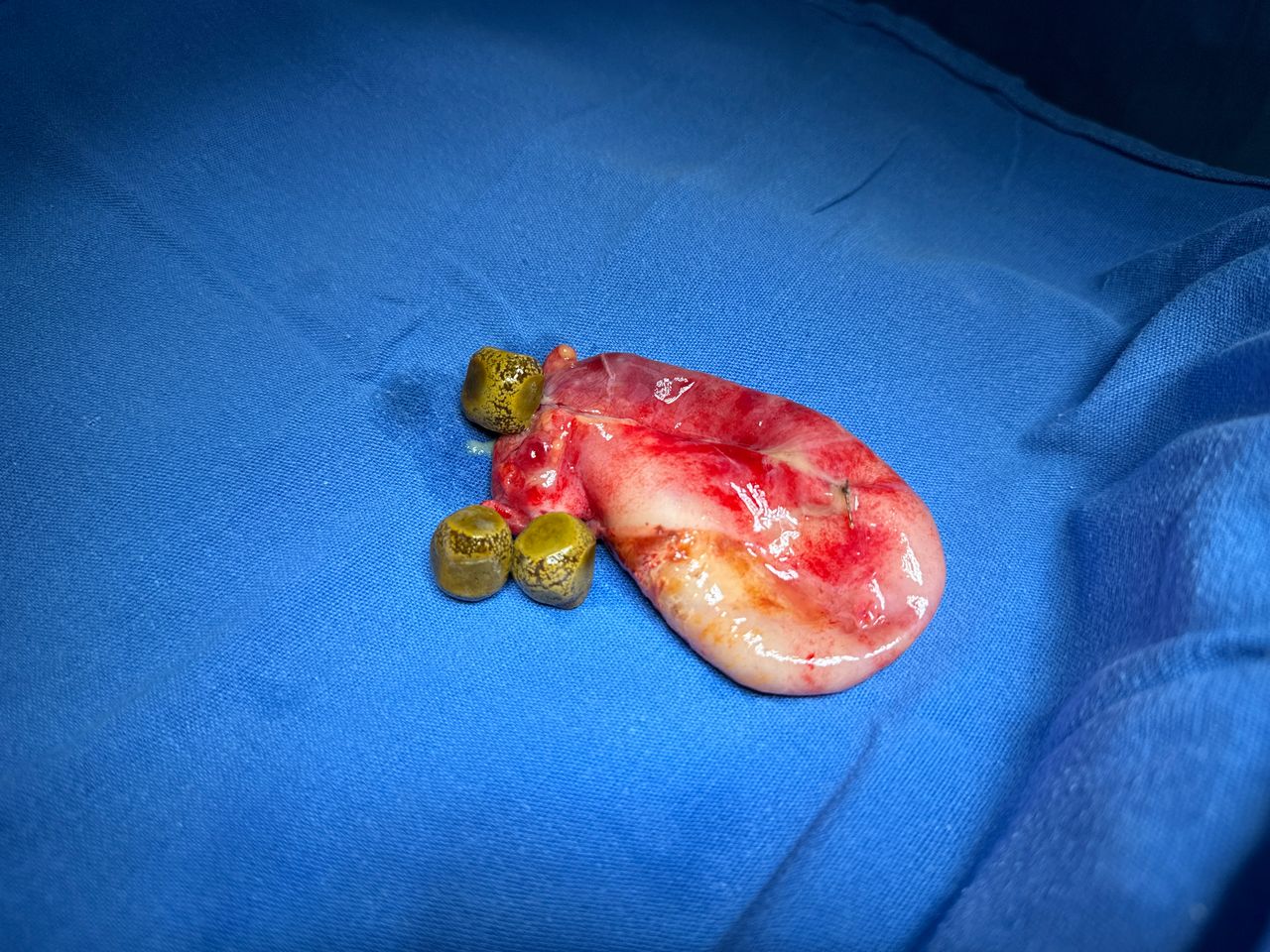 Daniel Balderas Anzures-12