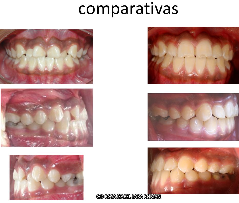 Rosa Isabel Lara Román-0