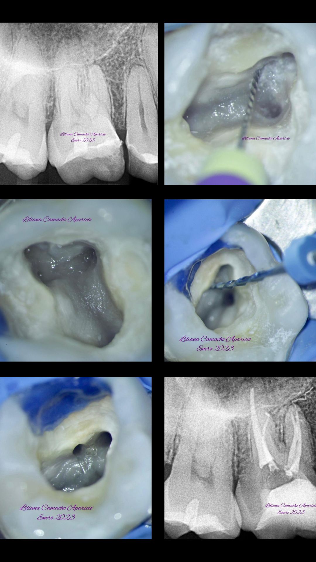 Liliana A. Camacho Aparicio-10