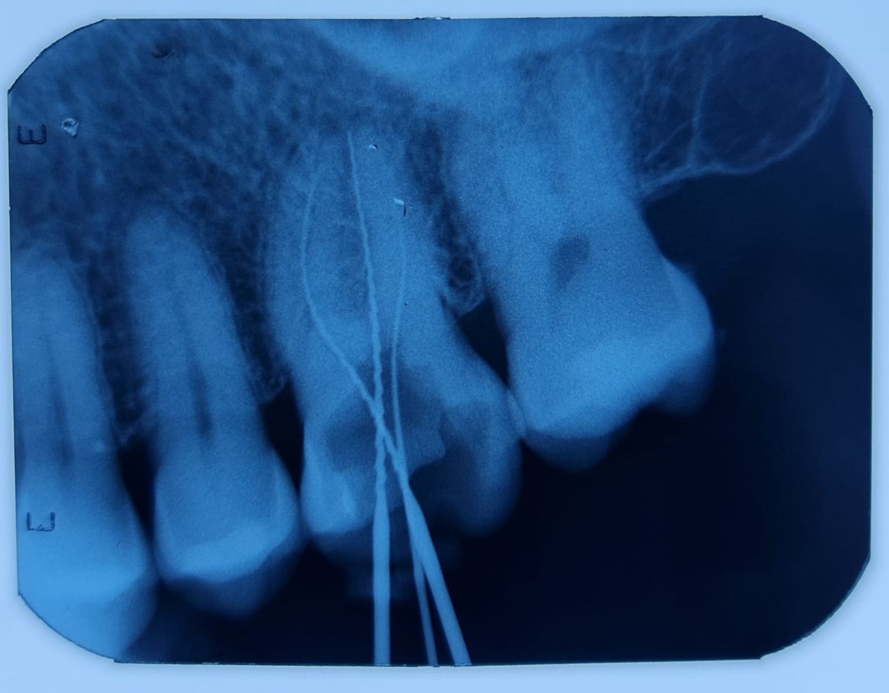 Laura Karla Becerra Gamiño-21