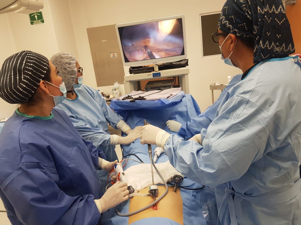 Brenda Anaid Torres Ugalde-10