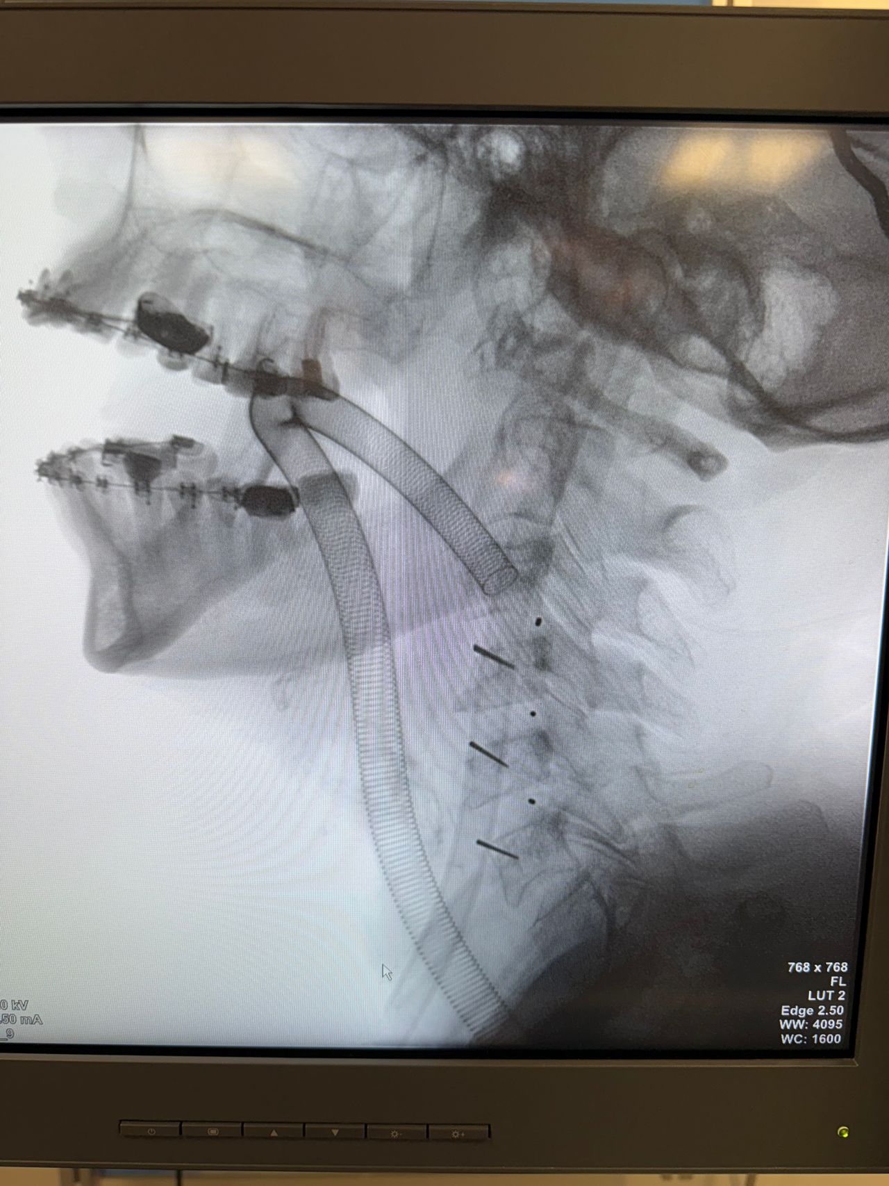 Alejandro Serrano Rubio-21