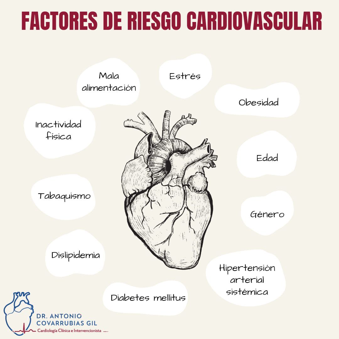 Antonio Covarrubias Gil-16
