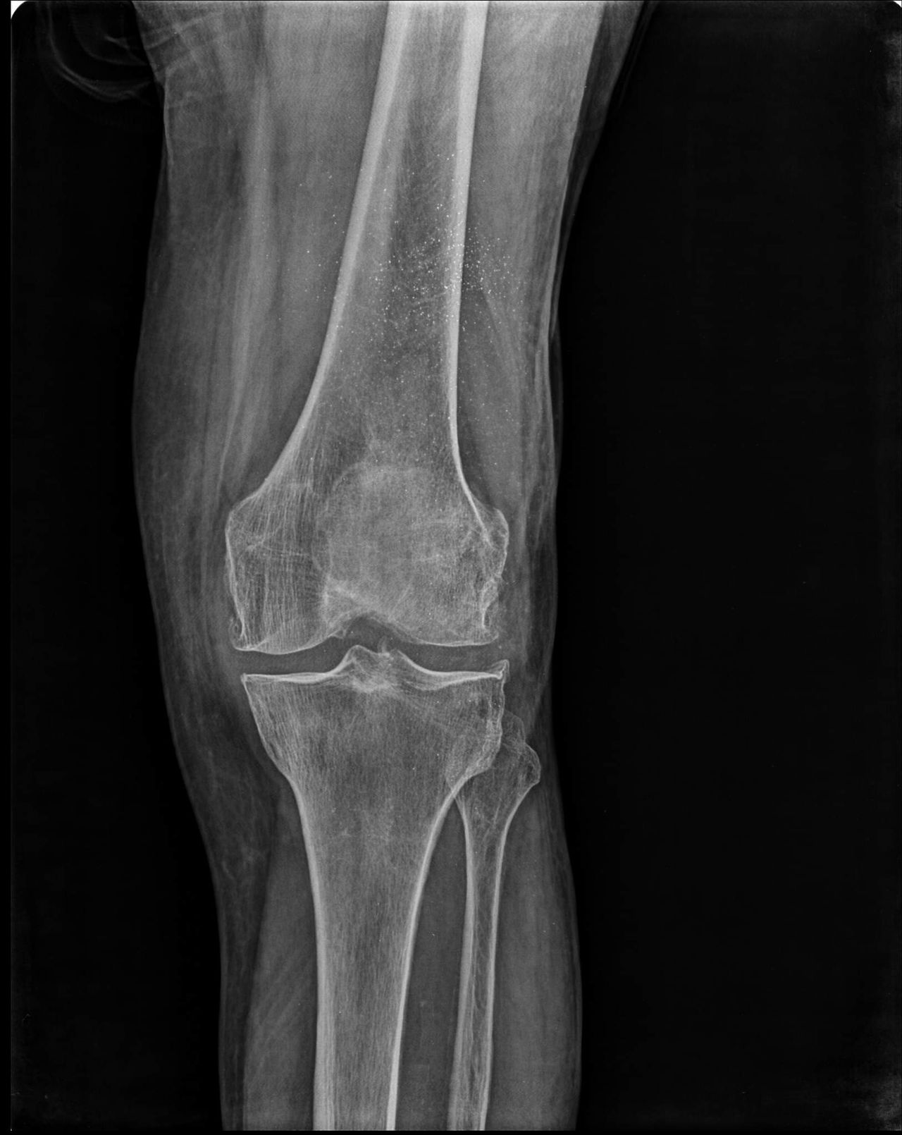 Jonathan Urieta Sanchez-1