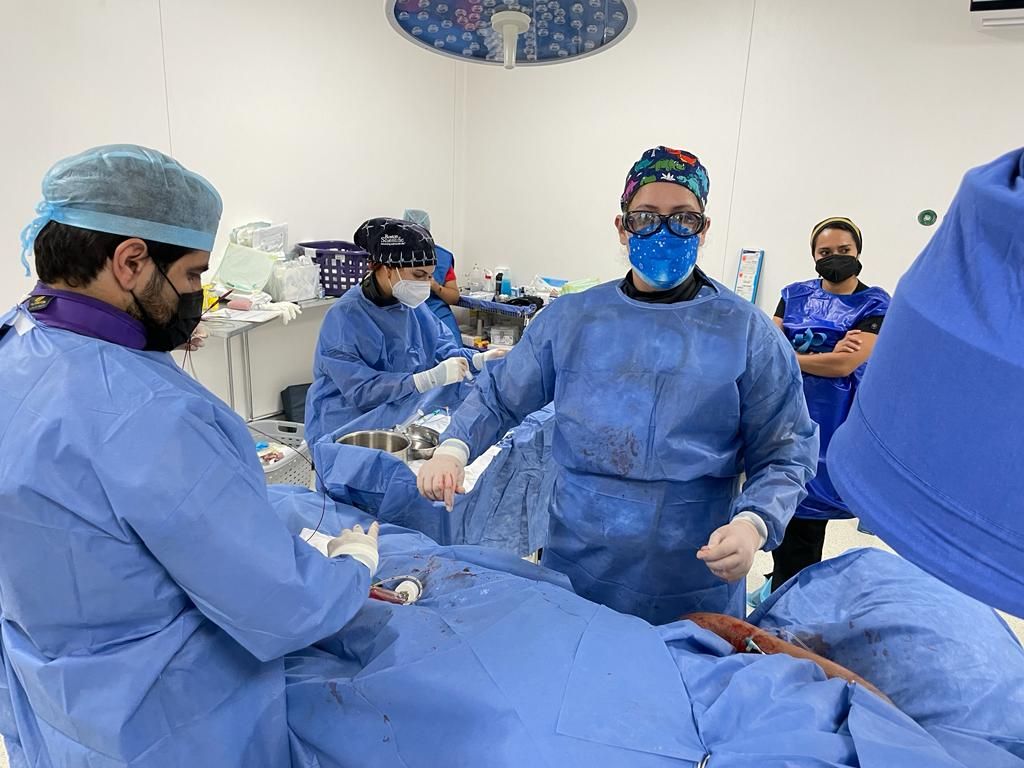 Paloma González Villegas-7