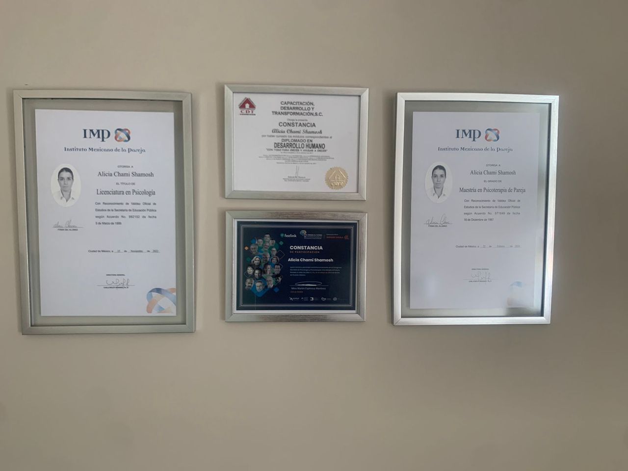 Alicia Chami Shamosh-6