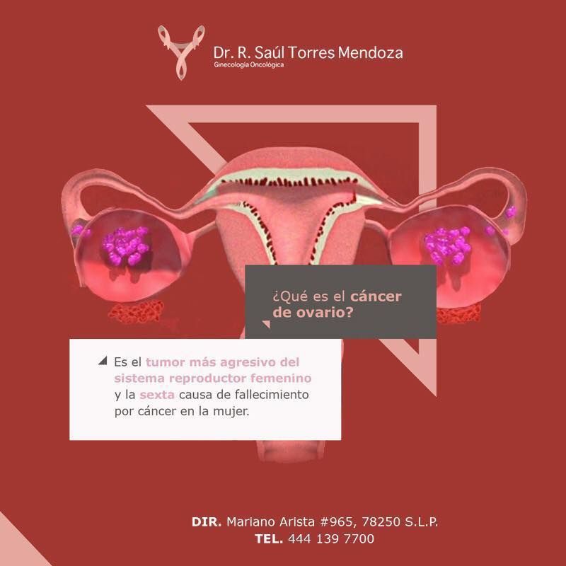 Rodolfo Saúl Torres Mendoza-2