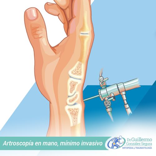 Guillermo González Segura-7