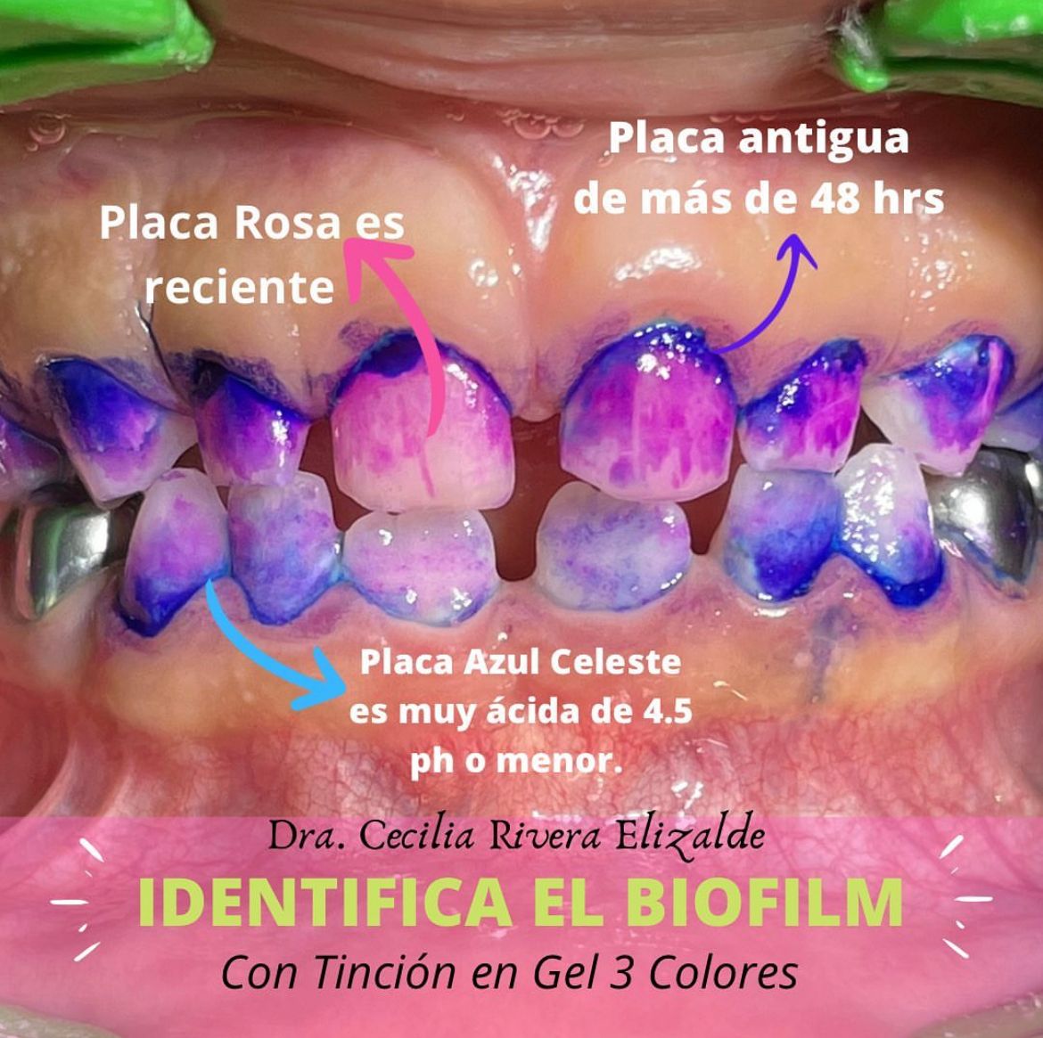 Cecilia Rivera Elizalde-27