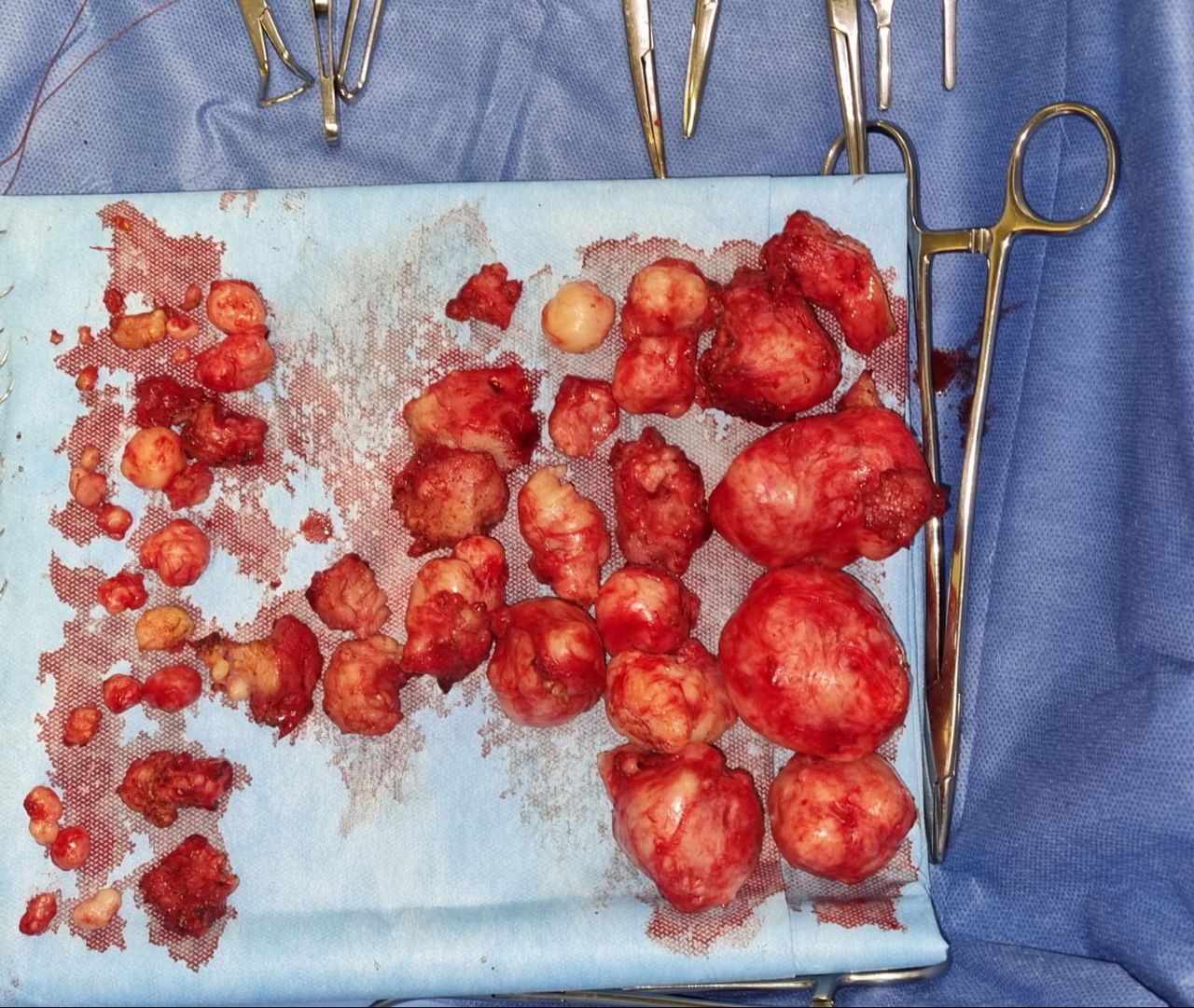 Ramón  Pascacio Pérez -48