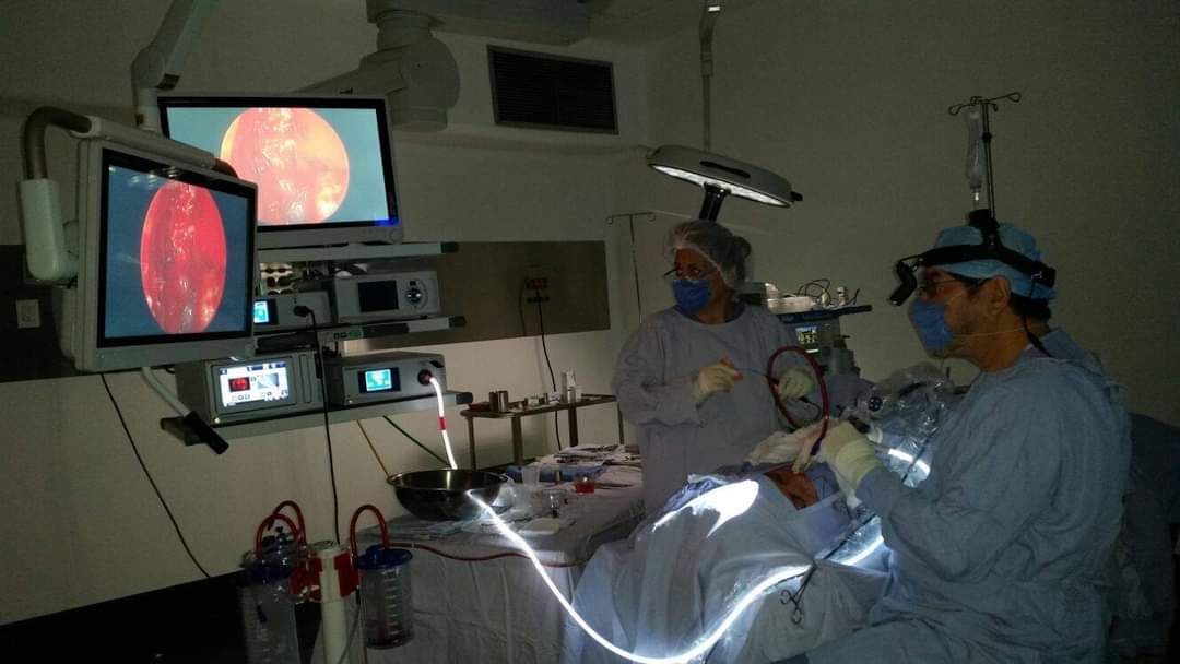 Armando Ceballos Oliva-2