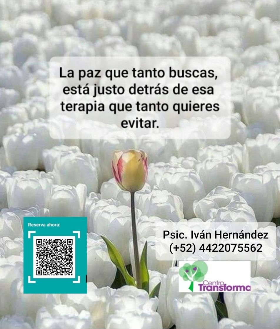 José Iván Hernández Barrera-7