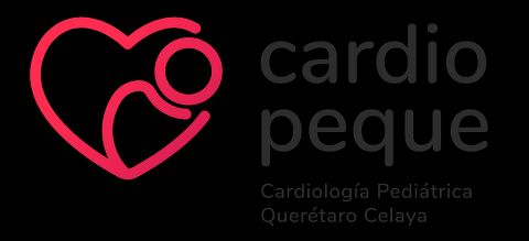 José Miguel Torres Martel-0