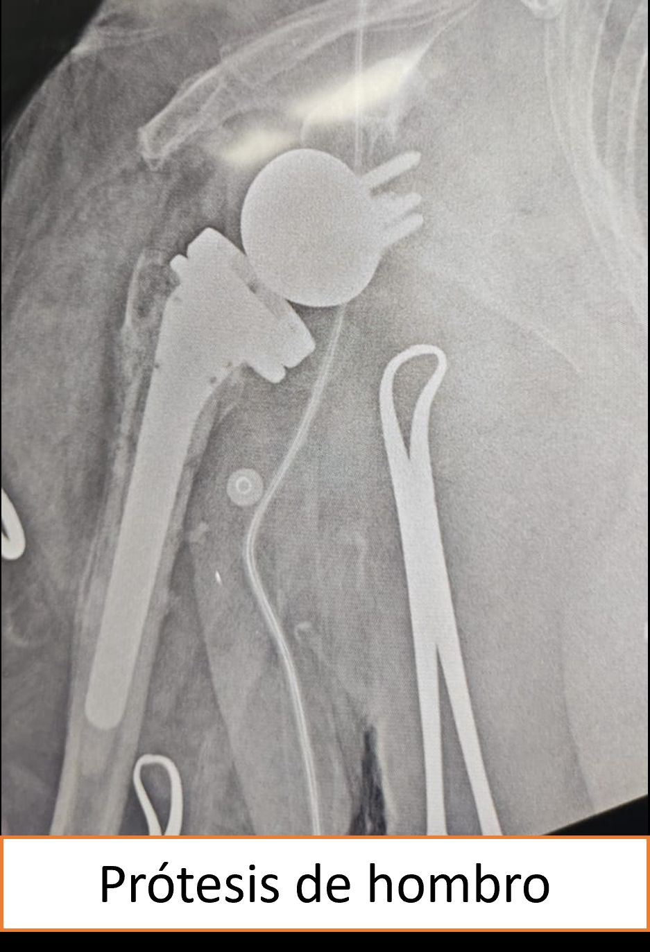 Iván Quijas Aldana-2