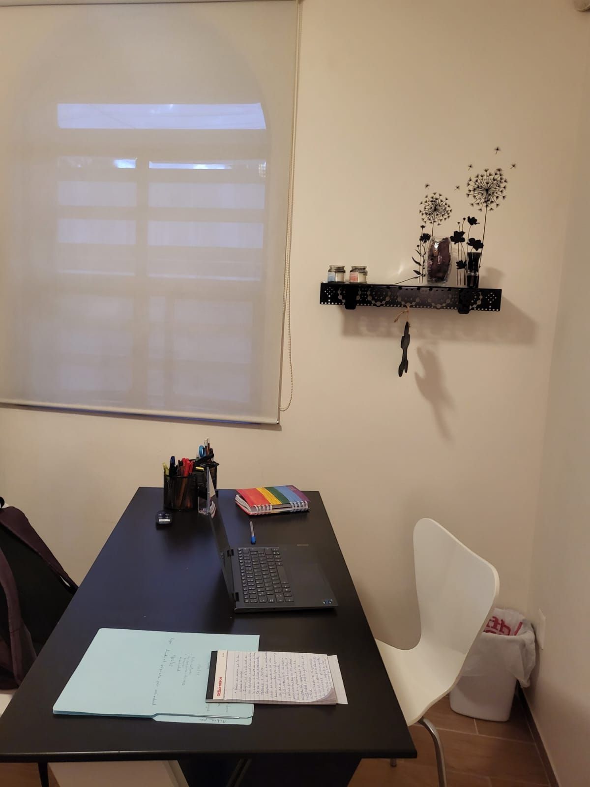 Monica Araujo Almeida-2