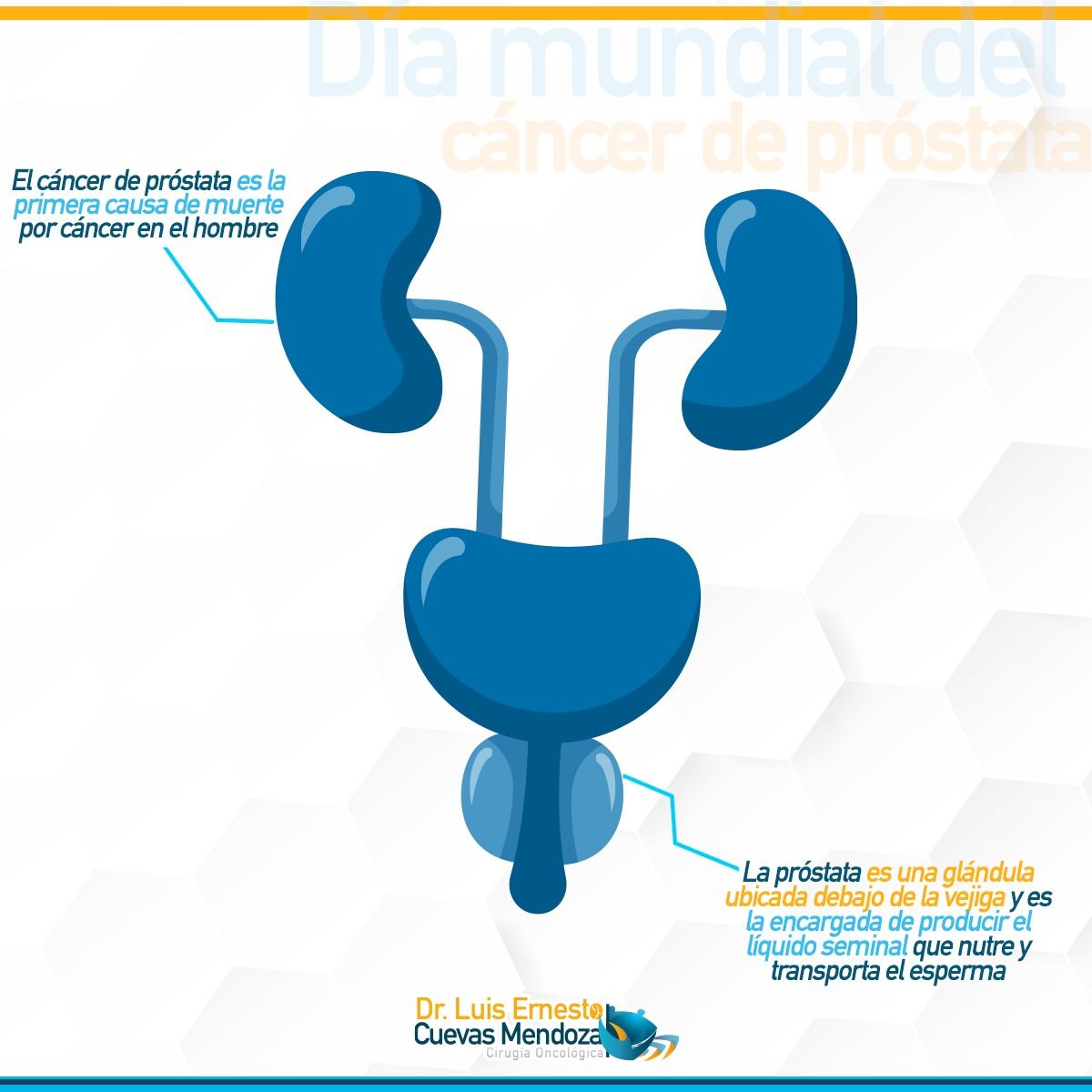 Luis Ernesto Cuevas Mendoza-129