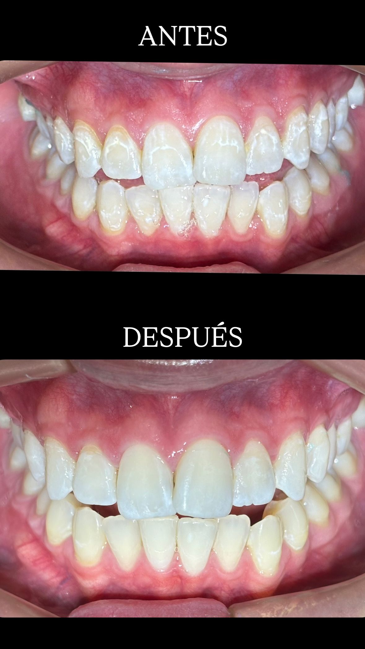 María Paula  Flores Novoa-70