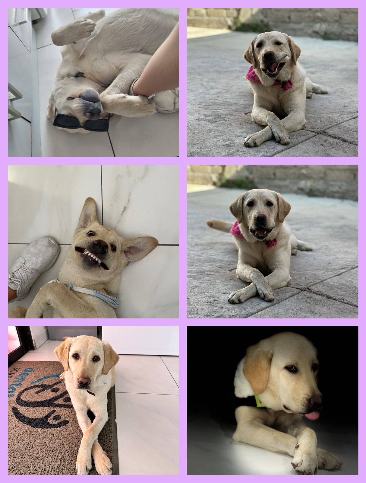 Lizbeth Rodríguez Capetillo-20