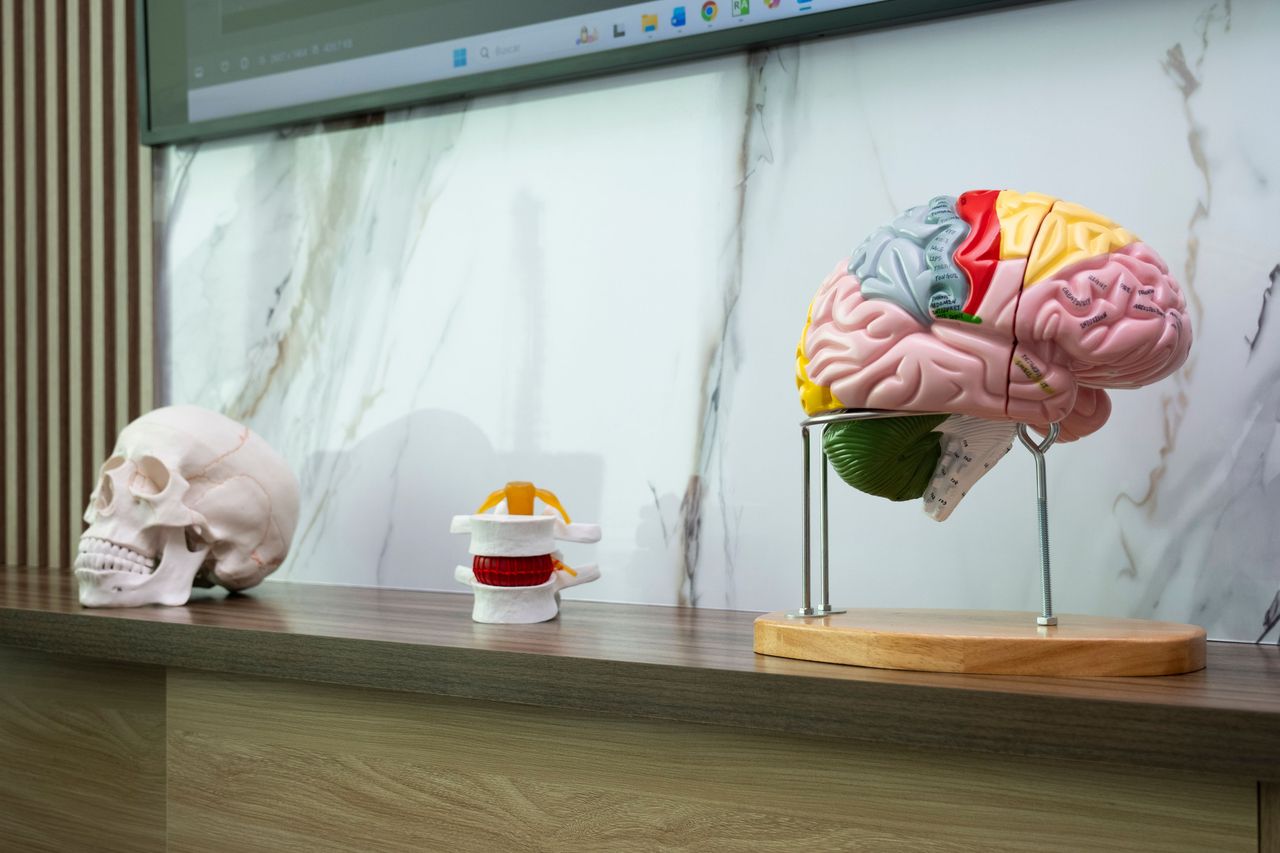 José Ramón Olivas C.-12