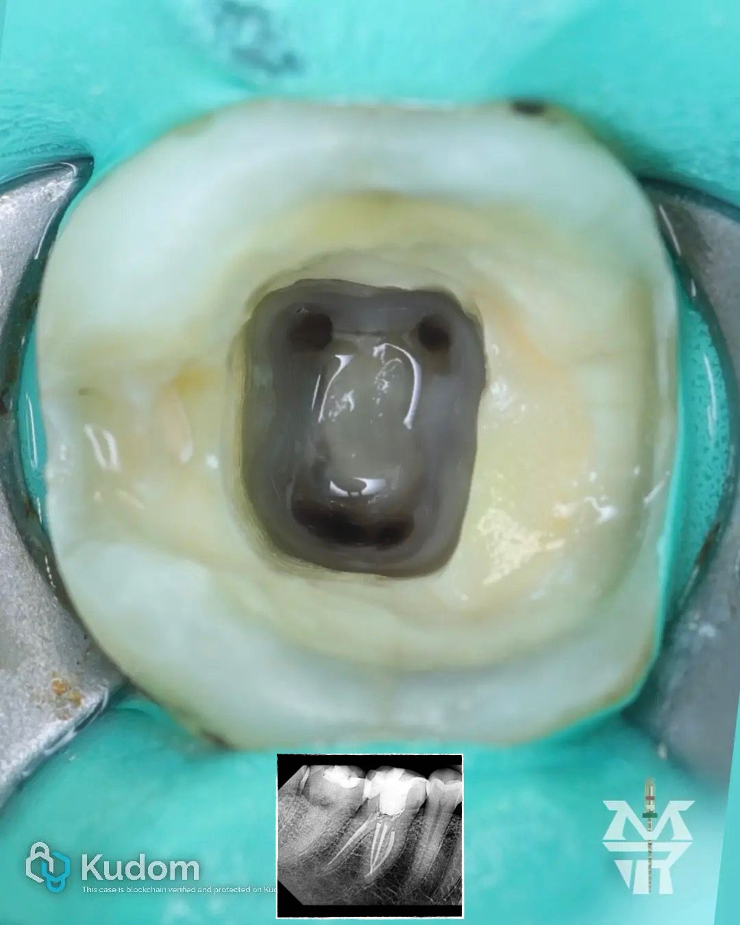 Marco Antonio Rodríguez-8