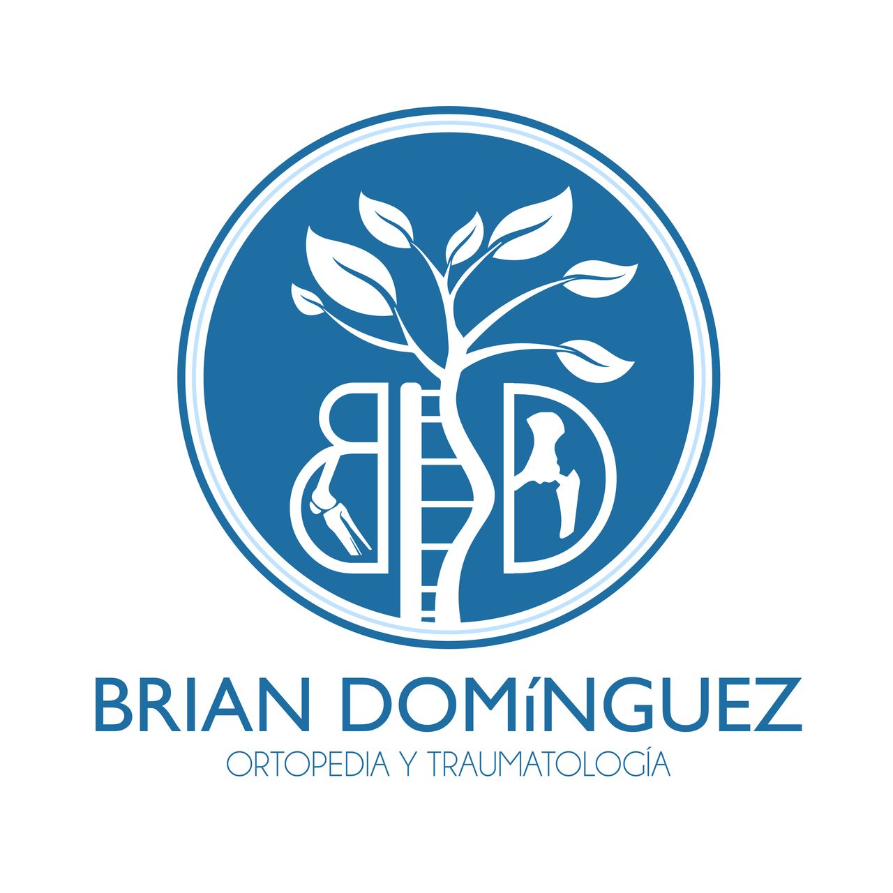 Brian Domínguez-1