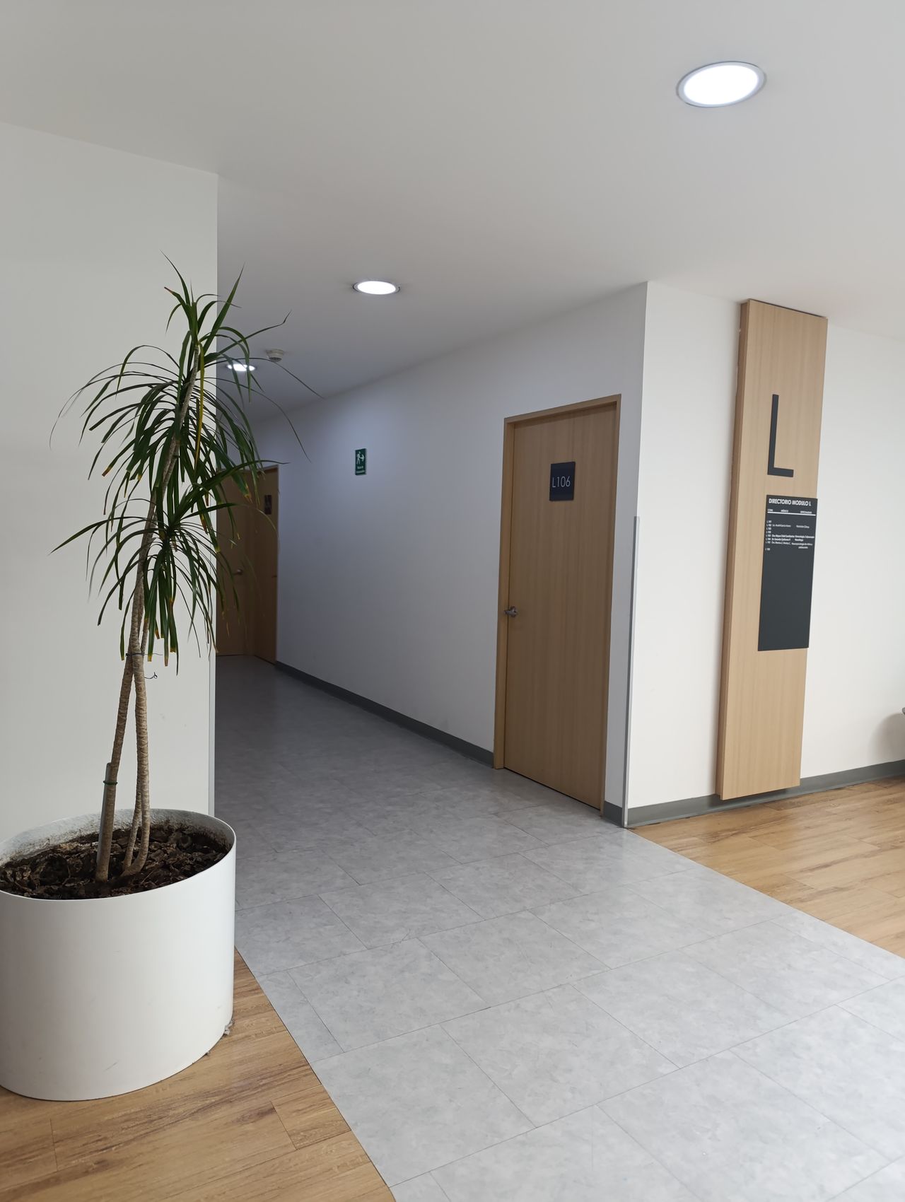 María Teresa Salas Magaña-8