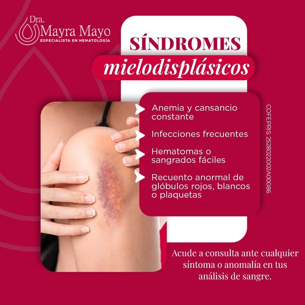 Mayra Lizbeth Mayo Martinez-14