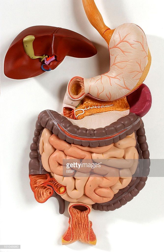 Francisco Javier Lopez Cabral-8