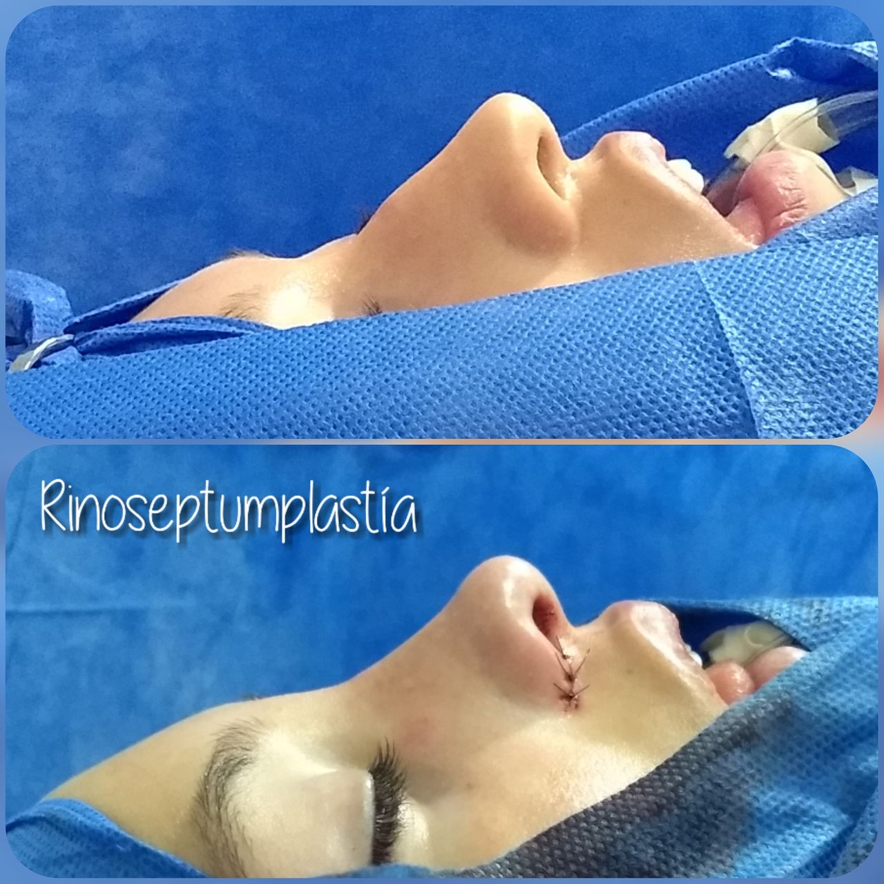 Columba Gutiérrez Alfaro-4