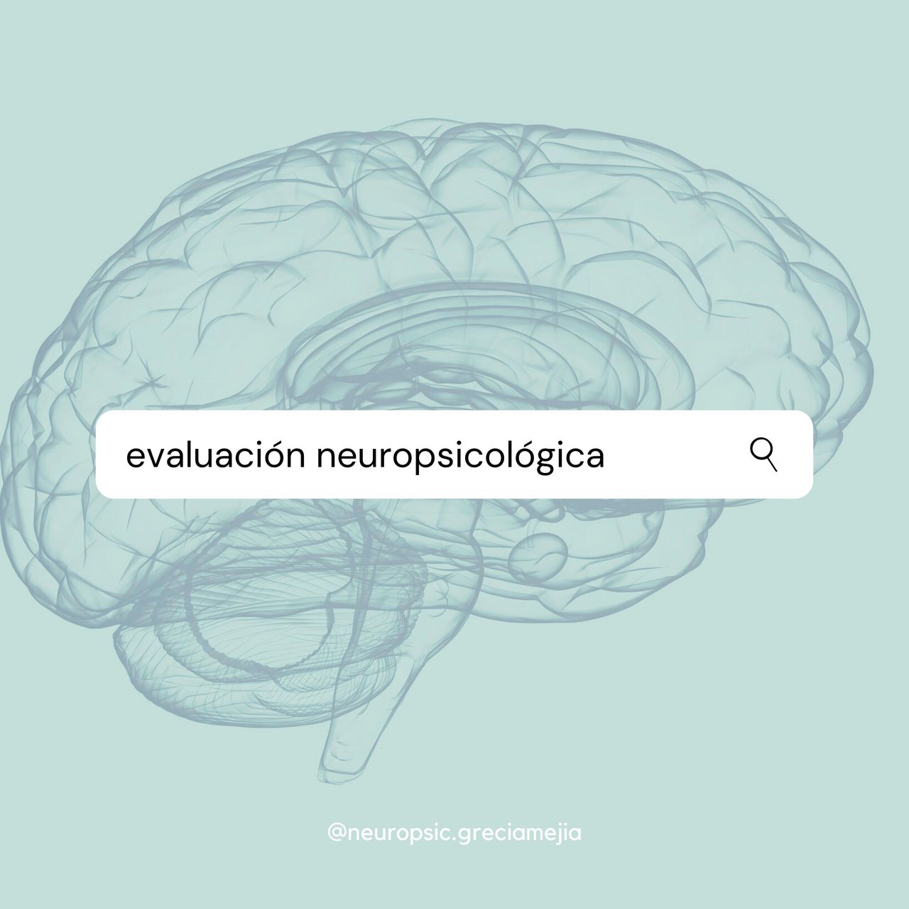 Grecia Mejia Aguilar-7