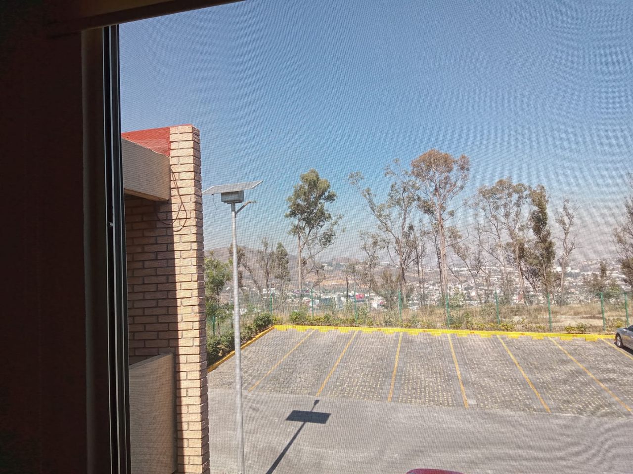 Rosaura González Rubalcava-3