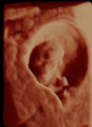 Erika Karina Fuentes Gutiérrez-9